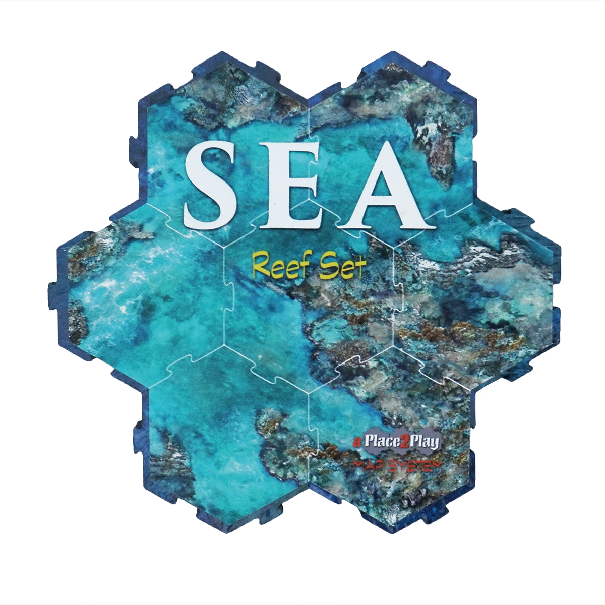 Sea - Reef